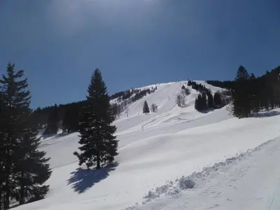 a snow covered slope with trees on a mountain at Guesthouse Macesen in Spodnja Sorica