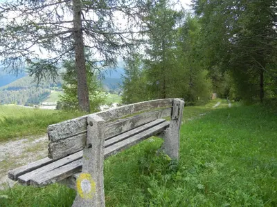 a wooden bench sitting in a field of grass at Guesthouse Macesen in Spodnja Sorica