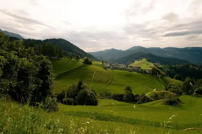 a green field with trees and mountains in the background at Guesthouse Macesen in Spodnja Sorica