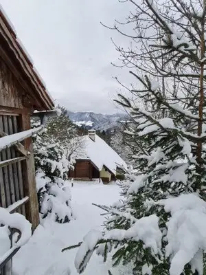 a snow covered yard with a house and trees at Idyllisches Haus in der Natur in Šoštanj