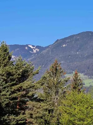 a group of trees in front of a mountain at Idyllisches Haus in der Natur in Šoštanj