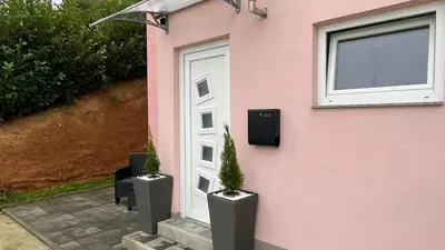 a pink house with two potted plants next to a door at Apartment Adam & Eva, Near terme Olimia, Free Parking in Podčetrtek