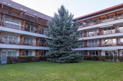 a christmas tree in front of an apartment building at Apartmaji Irma in Moravske Toplice