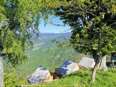 a group of buildings on a hill with a tree at Farmstay&Glamping Visočnik in Ljubno