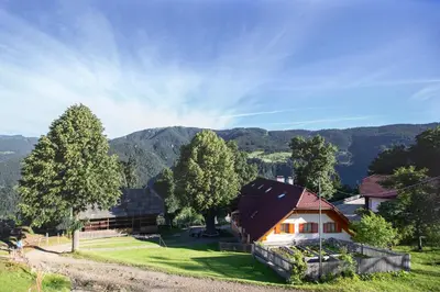a house on a hill with mountains in the background at Farmstay&Glamping Visočnik in Ljubno