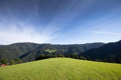 a green grassy hill with mountains in the background at Farmstay&Glamping Visočnik in Ljubno