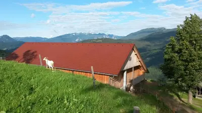 a goat standing on the roof of a building at Farmstay&Glamping Visočnik in Ljubno