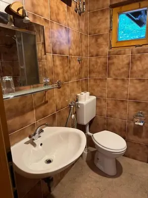 a bathroom with a toilet and a sink at Chalet Neva in Loče pri Poljčanah