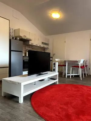 a living room with a tv and a red rug at Chic Loft with Open Floor Plan in Spodnja Šiška