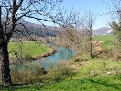 a river in the middle of a field with trees at Delux apartment at Robida Estate in Dolenjske Toplice