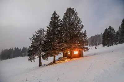 a small cabin in a snowy field with trees at Panorama Krvavec Ski-in, Ski-out in Cerklje na Gorenjskem