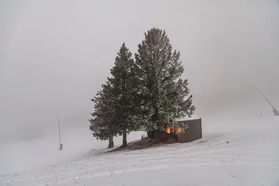 two trees and a cabin in the snow at Panorama Krvavec Ski-in, Ski-out in Cerklje na Gorenjskem