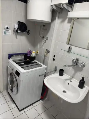 a bathroom with a washing machine and a sink at La Hiška Čatež with Tickets - each guest gets 2 entries per day in Čatež ob Savi