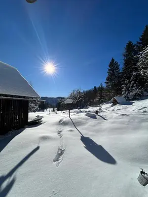 a snow covered yard with footprints in the snow at Gorjuška Rozamunda in Bohinjska Bistrica