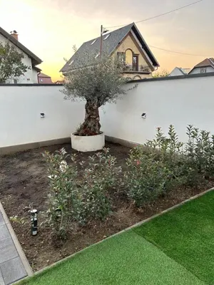 a bonsai tree in a garden in front of a fence at CASA BOX APARTMENT Free garage in Maribor
