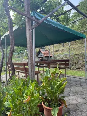 a picnic shelter with benches and plants at Chalet SS Pohorje in Pohorje