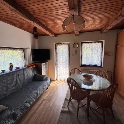 Chalet SS Pohorje
