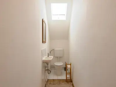 a small bathroom with a toilet and a sink at The old Village Villa At 2 Geese with Pool in Pišece