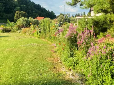 a garden with colorful flowers and a grass field at The old Village Villa At 2 Geese with Pool in Pišece