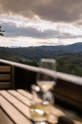 a glass of wine sitting on a table with a view at Hiška Brajda in Rogaška Slatina