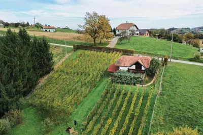 an aerial view of a farm house in a field at Hiška Brajda in Rogaška Slatina