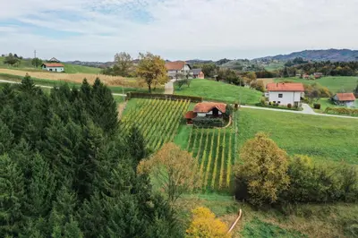 an aerial view of a farm with a house in a field at Hiška Brajda in Rogaška Slatina