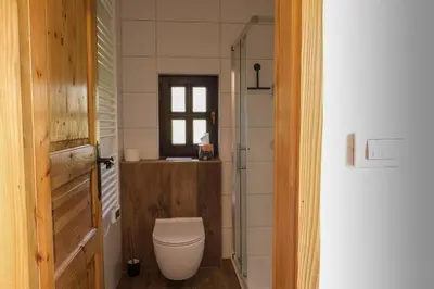 a small bathroom with a toilet and a shower at Hiška Brajda in Rogaška Slatina
