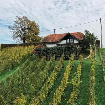 Hiška Brajda