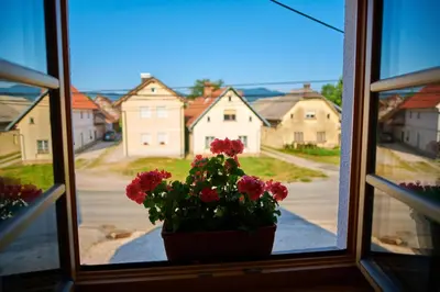a window with a pot of red flowers in at Pri Štefacovih - Authentic house in Grahovo