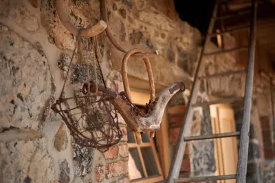 a trophy hanging on a stone wall at Pri Štefacovih - Authentic house in Grahovo