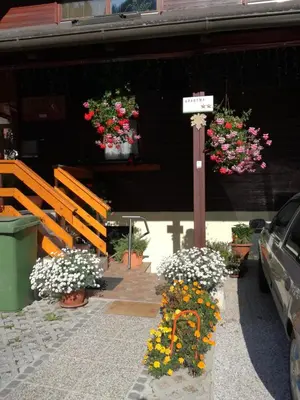 a group of flowers in front of a building at Apartment Stefka in Kranjska Gora