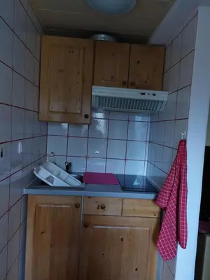 a small kitchen with wooden cabinets and a sink at Apartment Stefka in Kranjska Gora
