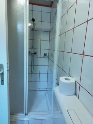 a bathroom with a shower and a toilet and a sink at Apartment Stefka in Kranjska Gora