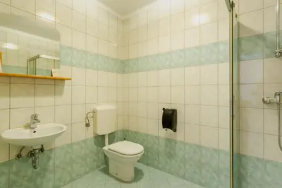 a bathroom with a toilet and a sink at Sobe in apartmaji Triglav - Gostinstvo Tomex in Ilirska Bistrica