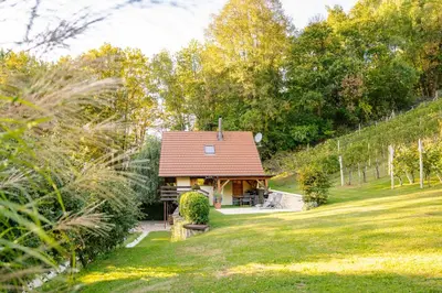 a small house with a red roof in a field at Holiday Home Emaj with Sauna in Krška Vas