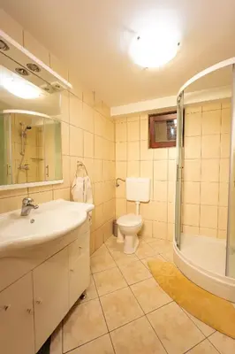 a bathroom with a sink and a toilet and a shower at Holiday Home Emaj with Sauna in Krška Vas