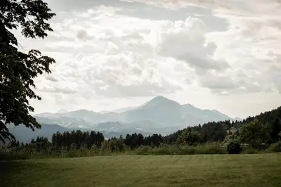 a green field with mountains in the background at Apartment and rooms Špes in Mislinja