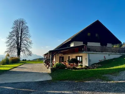 a house with a black roof and a tree at Apartment and rooms Špes in Mislinja
