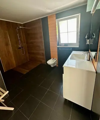 a bathroom with a sink and a toilet at Apartment and rooms Špes in Mislinja