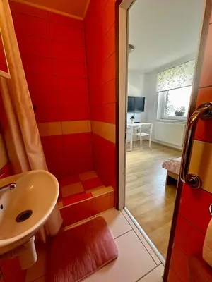 a bathroom with a shower and a sink at Apartment and rooms Špes in Mislinja