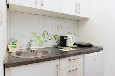 a kitchen counter with a sink and a toaster at Central Castle Apartments in Ljubljana