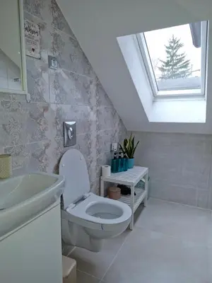 a bathroom with a toilet and a sink and a skylight at Apartma Nara in Ljubljana