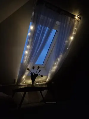 a vase with flowers in front of a window with lights at Apartma Nara in Ljubljana