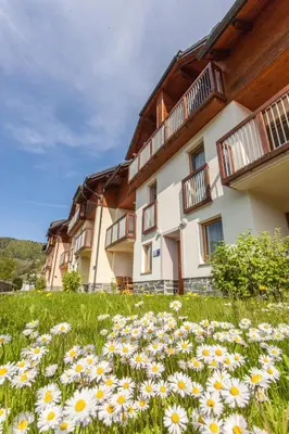 a field of daisies in front of a building at Appartments Vrba, Terme Snovik in Laze v Tuhinju