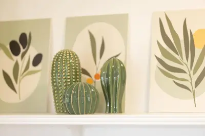 a shelf with three green cactuses on it at Hiška ViSa in Šoštanj