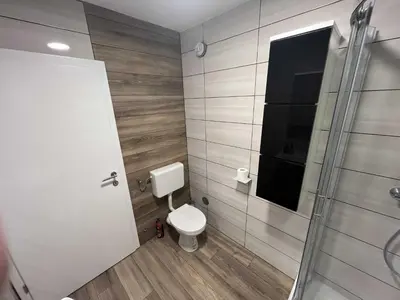 a bathroom with a toilet and a shower at Apartment Romeo & Julija, Near terme Olimia, Free Parking in Podčetrtek