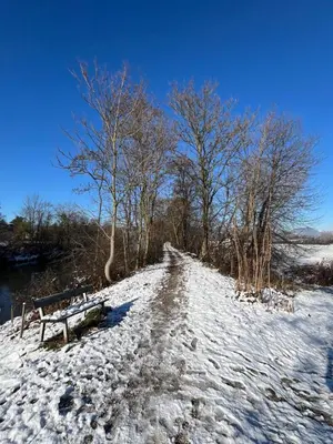 a snow covered path with a bench and trees at Green Street Hideaway in Šempeter v Savinjski Dolini