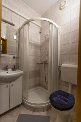 a bathroom with a shower with a toilet and a sink at Brezov kot in Jesenice