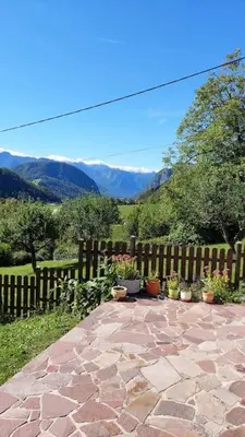a patio with potted plants in front of a fence at Cottage Stela, family moutain hideout in Bohinj