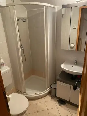 a bathroom with a shower and a toilet and a sink at Marjetjca 40 in Moravske Toplice
